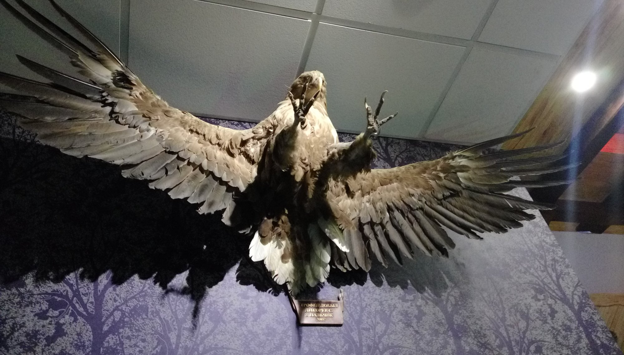 IMAG1027.jpg