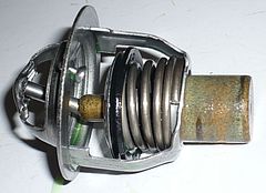73720849.jpg