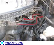 5102202fcc43t.jpg