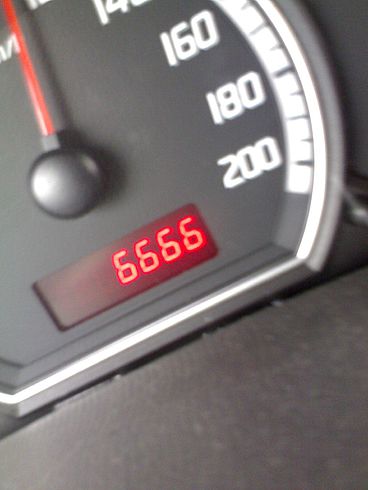 33726913.jpg