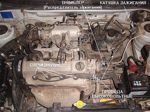 38956400.jpg