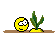 abed125fd60f393a0f747df575648870.gif