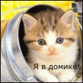 fca9f28c208e67a4a372ed6f0b7f1a26.gif