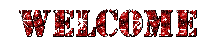 efeb2629bd8876d9465d01a549e017ed.gif