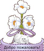 a0da7693c0407991aecc7cbecc1d230e.gif