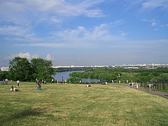 56919580.jpg