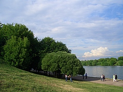 56919592.jpg