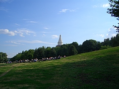 56919599.jpg