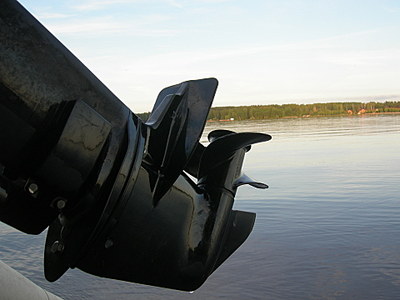 1330853.jpg