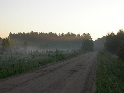 1330871.jpg