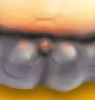 143654.jpg