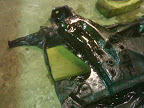 14032009066.jpg