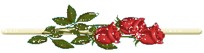 f2337f32326d49a5f4bac98be16aafc4.gif