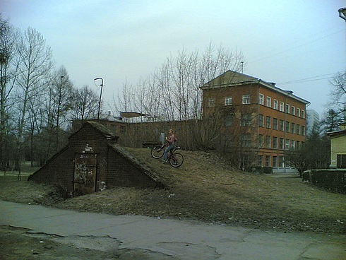 116881361.jpg