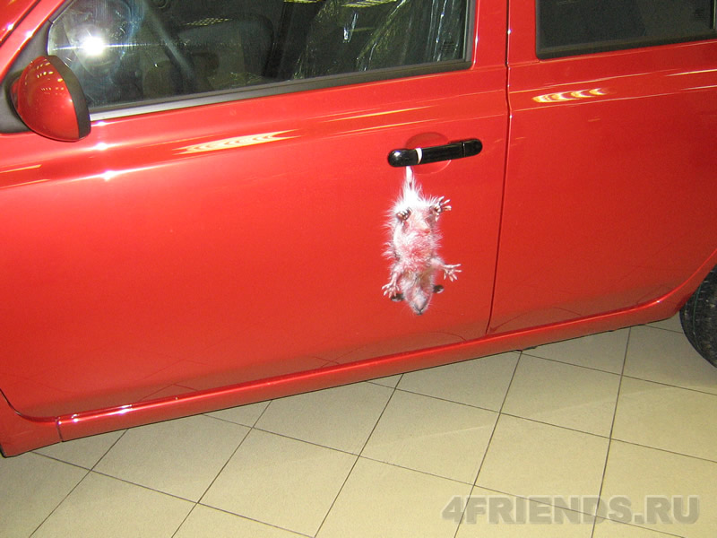 nissan_micra_mouse_01.jpg
