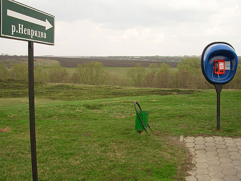 117014905.jpg