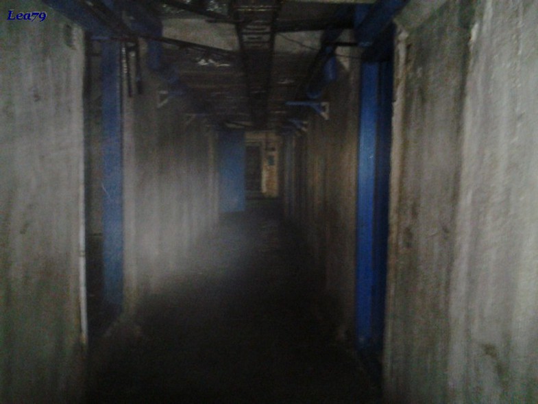 210992556.jpg