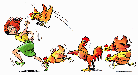chicken-attack.gif