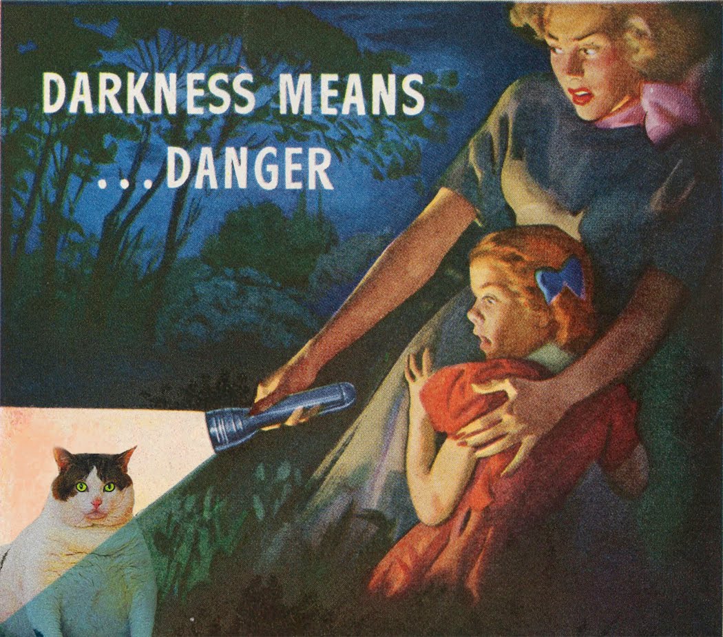 DangerCat.jpg