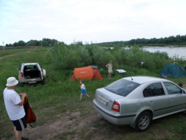 81473-6e2c0-19788113-h200.jpg