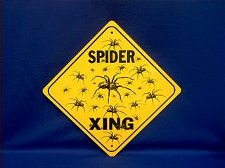 spider_crossing.jpg