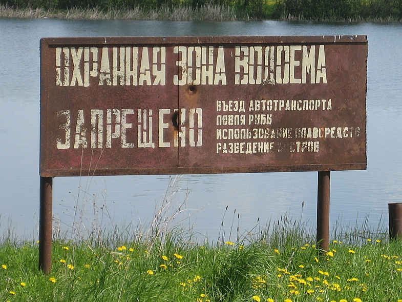 152306458.jpg