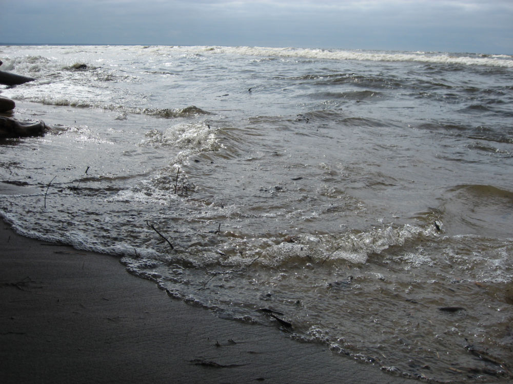 71657-829c3-22763764-.jpg
