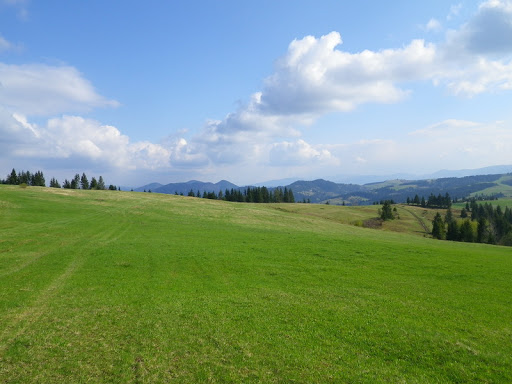 IMGP0885.jpg