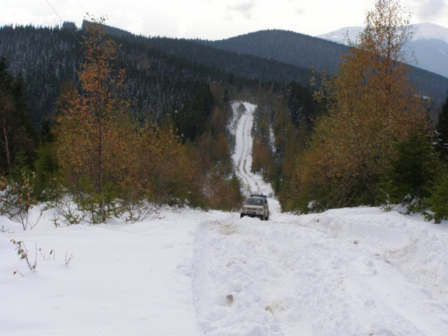Sinyachka_50.jpg