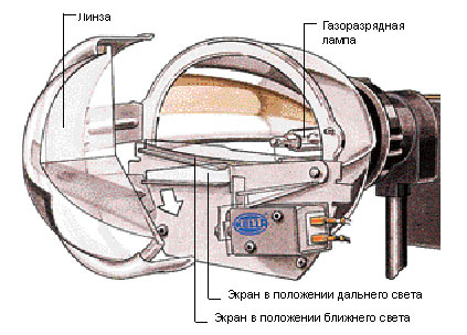 05.jpg