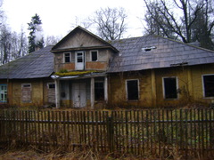 113595330.jpg