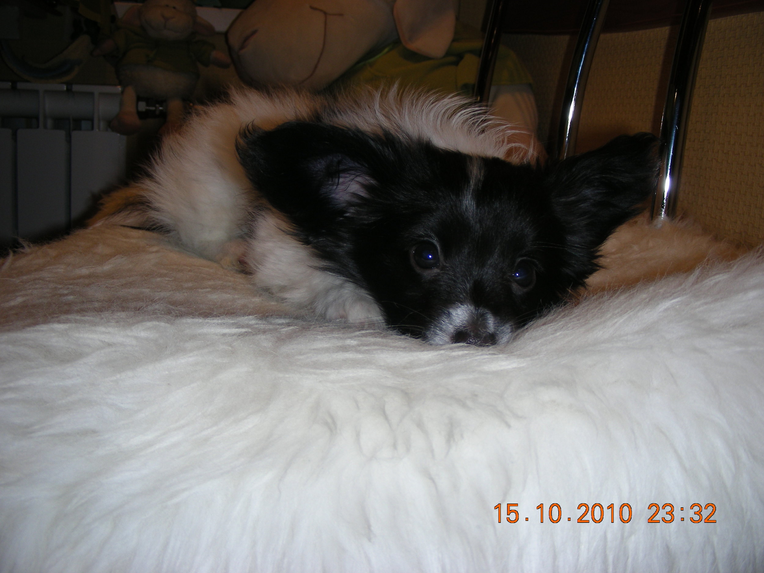 DSCN5698.jpg
