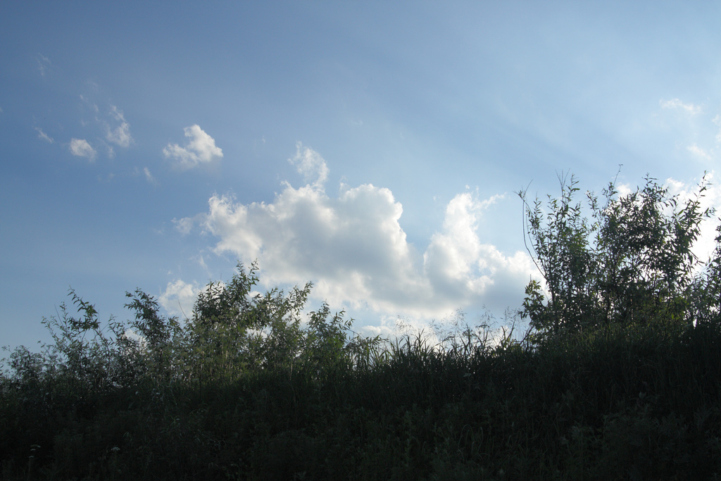 4701067049_89eefd2814_b.jpg