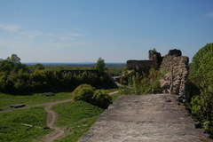 117735350.jpg