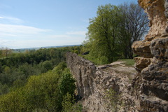 117735353.jpg