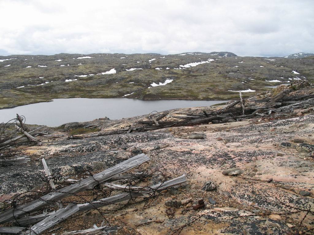 s-290.jpg