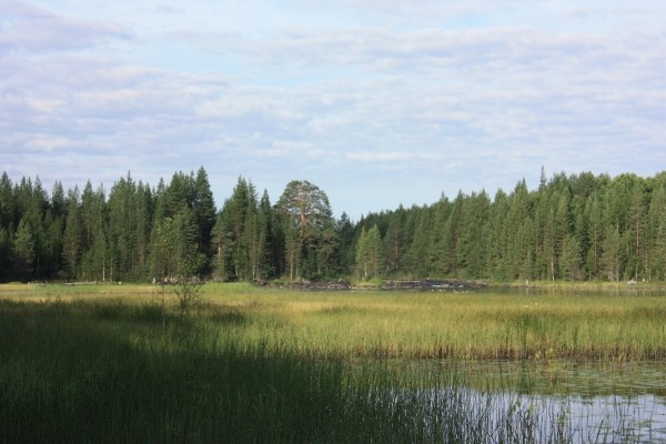 i-3665.jpg