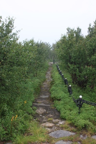 i-3805.jpg