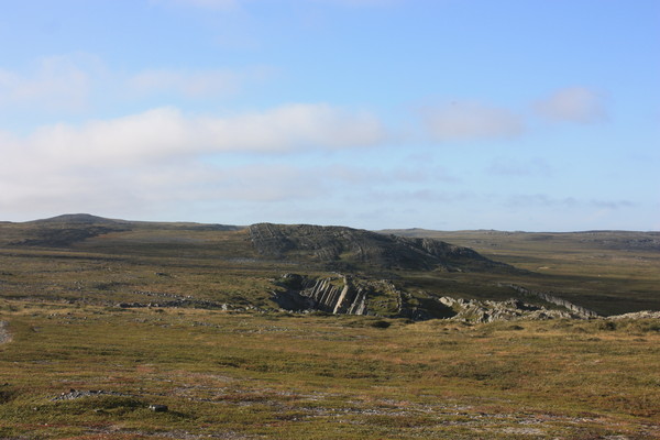 i-4786.jpg