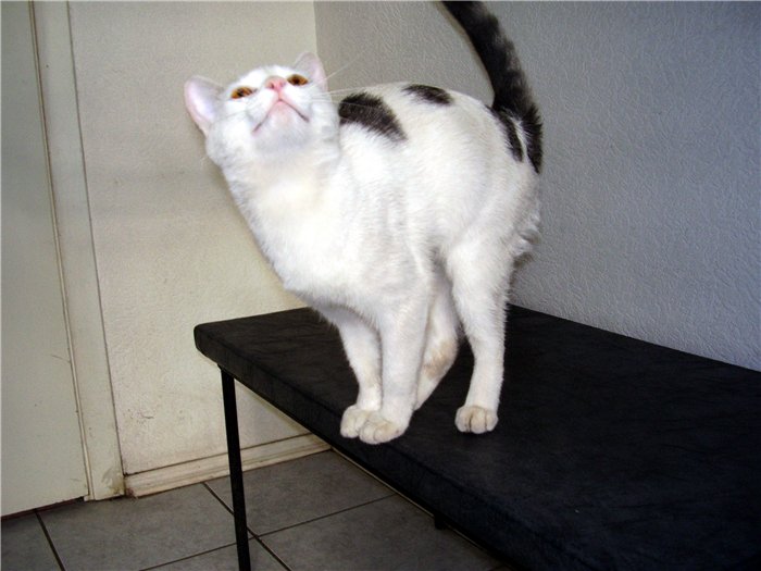 0de18efe6f7a.jpg