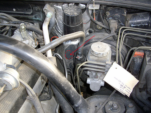 119255341.jpg