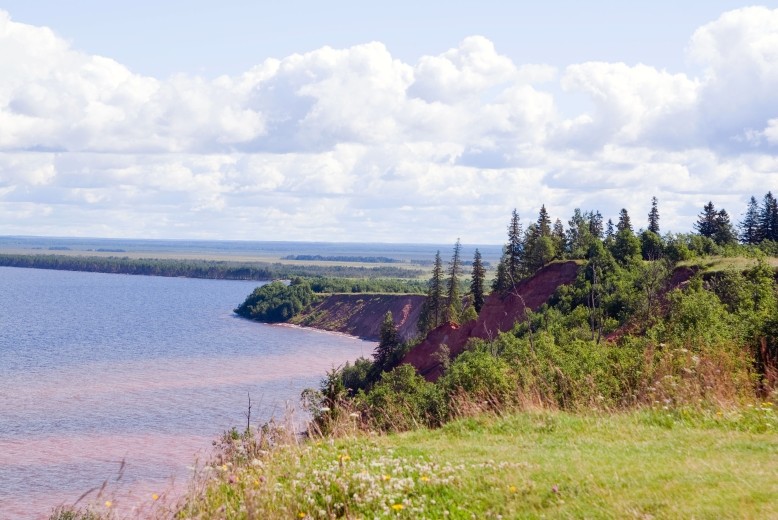 dcbd0f9d7551.jpg