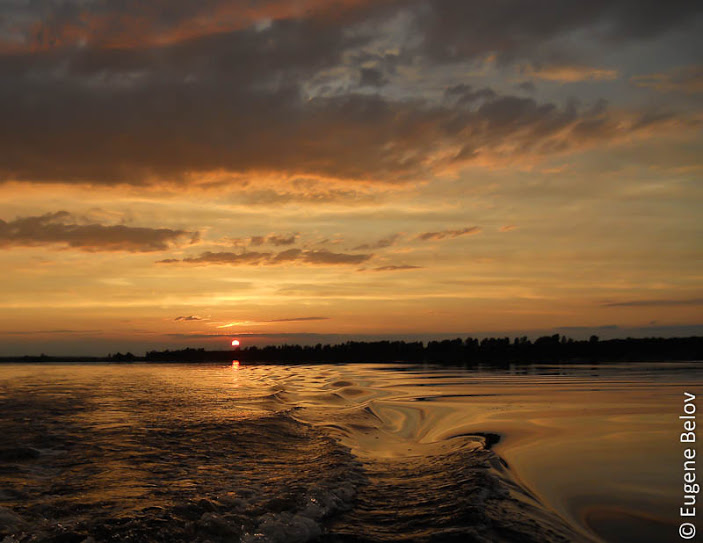 DSCN0514.jpg