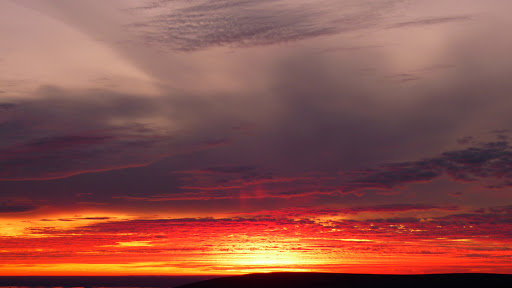 273_P1020856.jpg