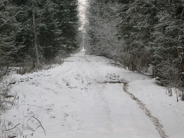i-1549.jpg