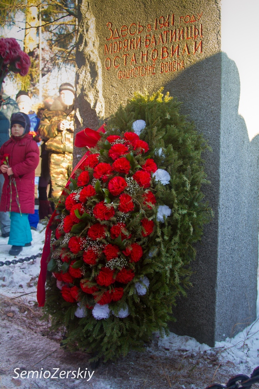 96379562.jpg