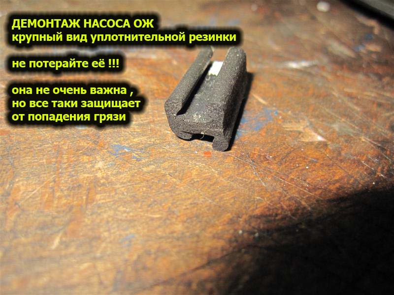 56.jpg