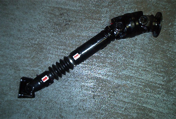 Picture_615.jpg