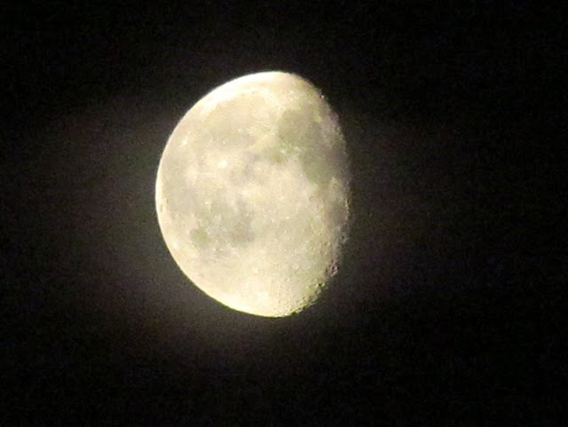 IMG_7464.jpg