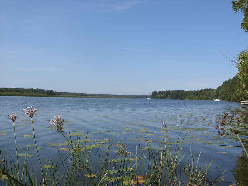 0_87b0a_1b25c905_XL.jpg